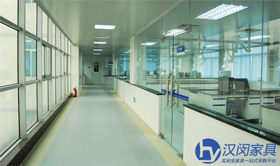 生物安全柜生产工厂|汉闵实验室家具