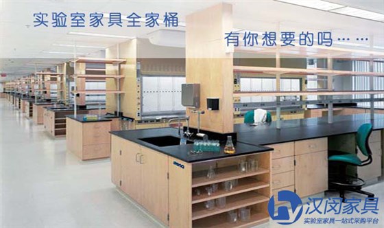 化学品生物安全柜|汉闵实验室家具厂家