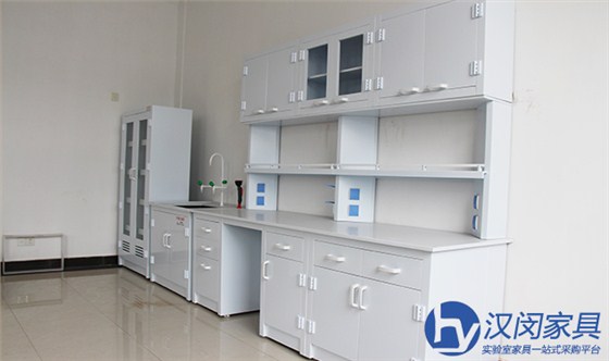 通风柜品牌|汉闵实验室家具