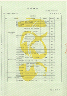 检测报告